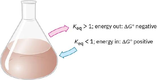 Schematic arrows indicate energy out if K E Q greater than 1, delta G naught negative. Energy in if K E Q less than 1, delta G naught positive.