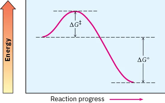 6.10: Describing a Reaction- Intermediates - Chemistry LibreTexts