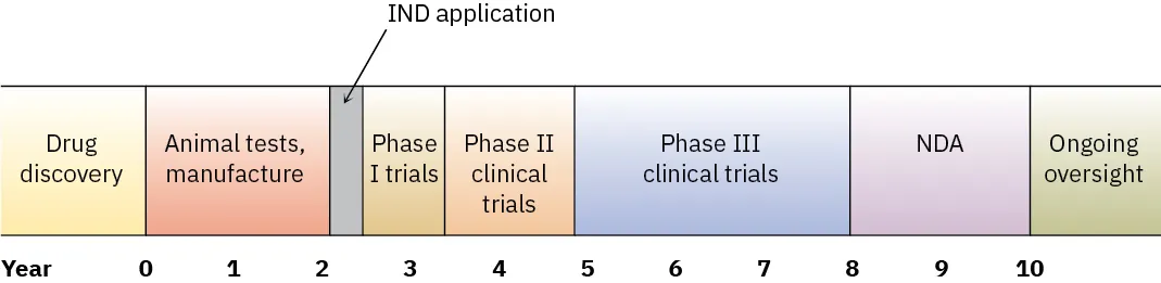 A chart of the clinical trial process from drug discovery through animal tests, manufacturing, I N D application, phase 1 through 3 trials, and N D A, to ongoing oversight.