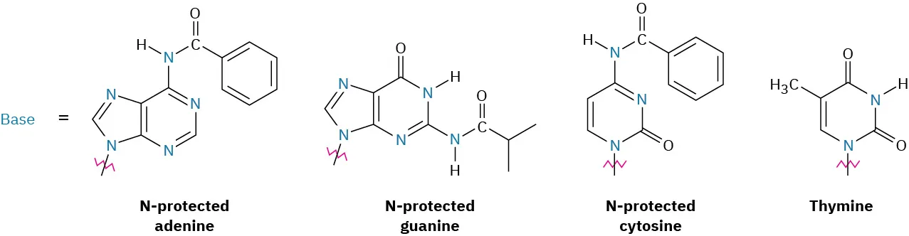 The figure shows the structure of four bases named N-protected adenine, N-protected guanine, N-protected cytosine, and thymine. Wavy line denotes bond extension.