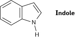 indole=