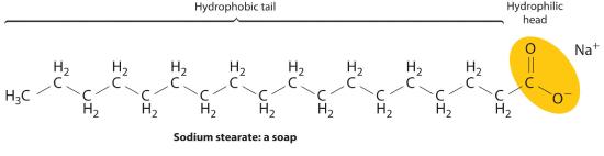 Structure of a soap, sodium stearate.