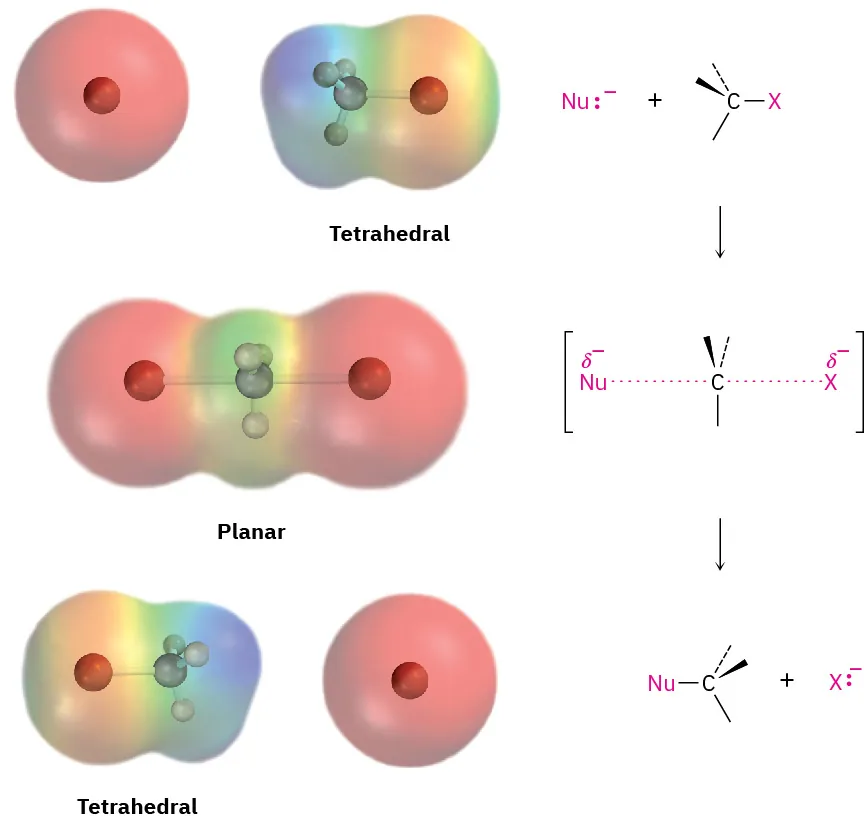 The figure shows the S N 2 reaction along with their ball-and-stick model in electrostatic potential maps. Tertiary alkyl halide and substituted compound are tetrahedral, while transition state is planar.