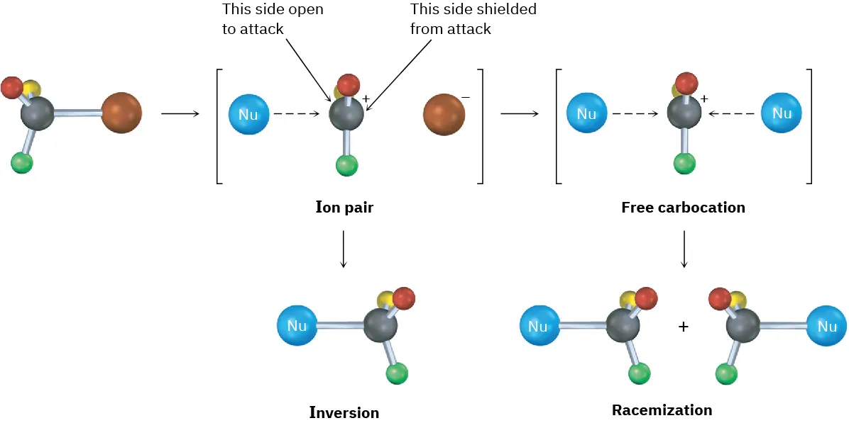The reaction is represented using ball-and-stick model. Chiral substrate undergoes dissociation to form intermediates and yields two products by racemization (from free carbocation) and one product by inversion (from ion pair).