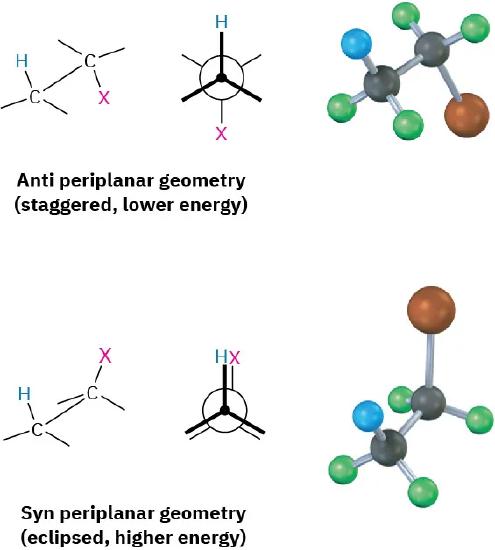 The antiperiplanar (staggered, lower energy) and syn-periplanar (eclipsed, higher energy) geometries of an alkyl halide. For both geometries, the structural formula, the Newman projection, and the ball-and-stick model are presented.