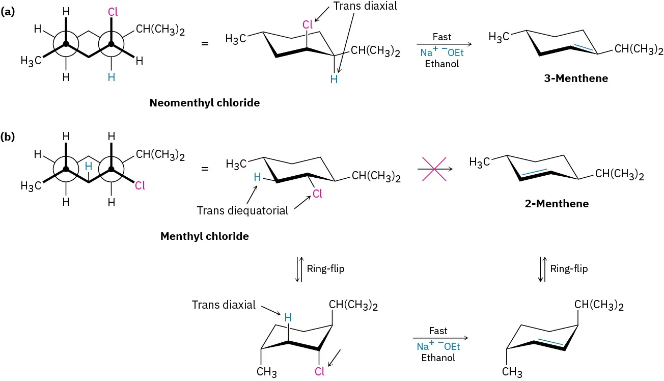 Neomenthyl chloride undergoes a fast reaction in presence of sodium ethoxide and ethanol, forming 3-menthene. In second reaction, menthyl chloride undergoes ring-flip and fast reaction to yield 2-menthene.