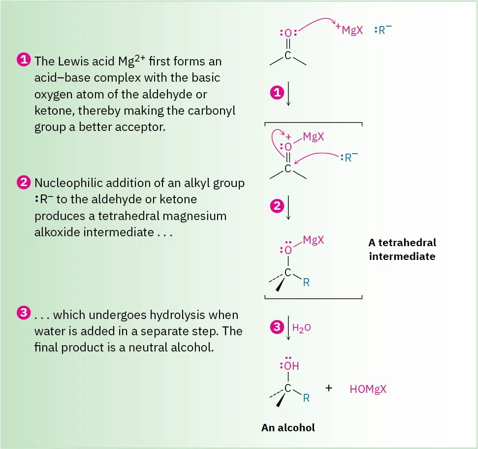 Three-step formation of alcohol from carbonyl and Grignard. Lewis acid-base complex forms between the carbonyl oxygen and magnesium; R attacks carbonyl; tetrahedral intermediate undergoes hydrolysis to give alcohol.