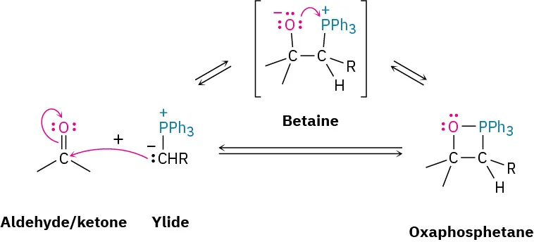 A cyclic reversible reaction where aldehyde or ketone reacts with ylide, to form betaine (intermediate), which further forms oxaphosphetane. This transforms back to the reactants, aldehyde or ketone and ylide.