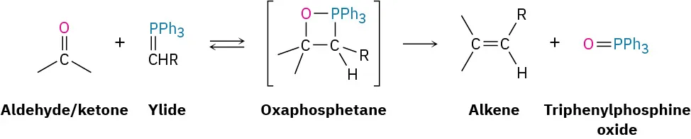 An aldehyde or ketone reacts with ylide to form an oxaphosphetane. This further forms alkene plus triphenylphosphine oxide.