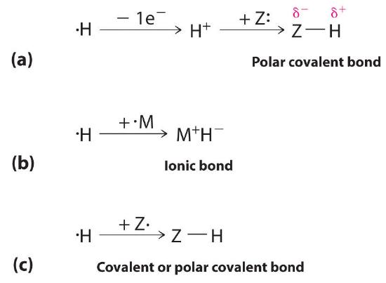 A polar covalent bond is shown between partially negatively charged Z and partially positively charged H. Ionic bond is shown with positive M and negative H. A covalent or polar covalent bond is shown between Z and H.