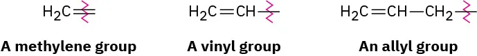 The structures of methylene (double bond to C H 2), vinyl (C H C H 2), and allyl (C H 2 C H C H 2) groups.