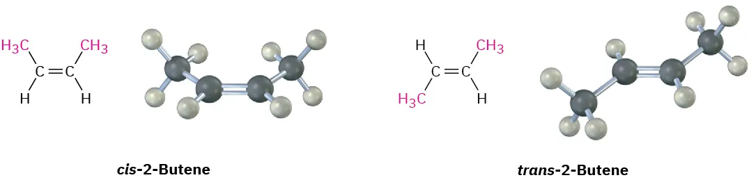 The structures and ball-and-stick models of cis-2-butene (methyl groups pointed in the same direction) and trans-2-butene (methyl groups pointed in opposite directions).