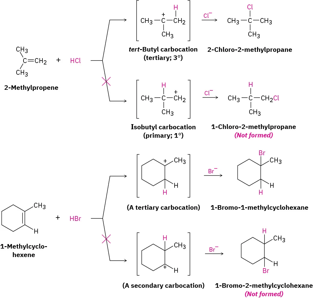First reaction shows 2-methylpropene reacting with hydrogen chloride to yield 2-chloro-2-methylpropane. 1-chloro-2-methylpropane is not formed. Second reaction shows 1-methylcyclohexene reacting with hydrogen bromide to yield 1-bromo-1-methylcyclohexane. 1-bromo-2-methylcyclohexane is not formed.