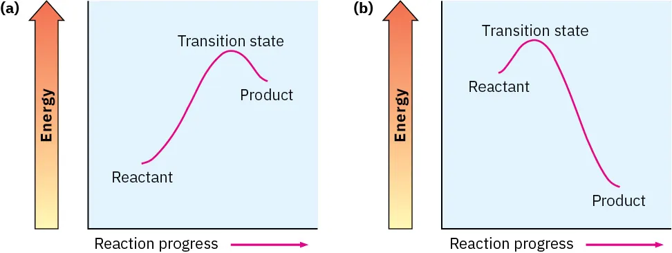 Two energy diagrams for one-step reactions. The first has low energy reactant and high energy product, the second has high energy reactant and low energy product.