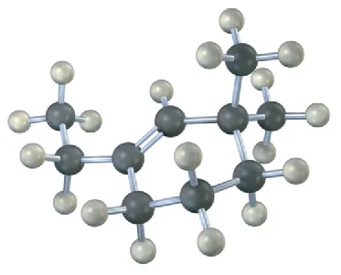 The ball-and-stick model has a cyclohexene ring. C1 is bonded to an ethyl group. C3 is bonded to two methyl groups.