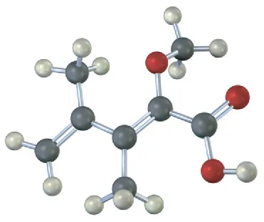The ball-and-stick model has 5-carbon chain with alternate double bonds. C2 and C3 are each bonded to methyl. C4 is bonded to methoxy. C5 is carboxylic acid.