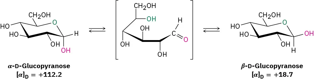Haworth projection of reversible ring-opening of alpha-D-glucopyranose to beta-D-glucopyranose. The hydroxyl group at C 1 is axial in alpha and equatorial in beta form.