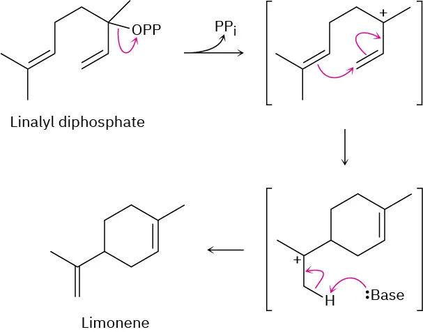 The reaction mechanism of limonene from linalyl diphosphate through the formation of a carbocation, cyclization, and quenching of the carbocation through abstraction of H plus by base..