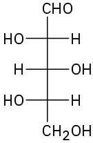 The Fischer projection of L-xylose.