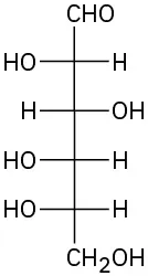 The Fischer projection of L-allose.