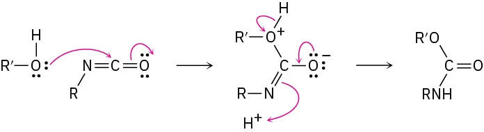 R prime O H and R N double bond C double bond O react via two steps to produce a carbonyl with substituent O R prime and N H R.