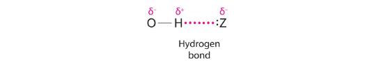 Hydrogen bond shown between a hydroxy group and a partially negatively charged Z.