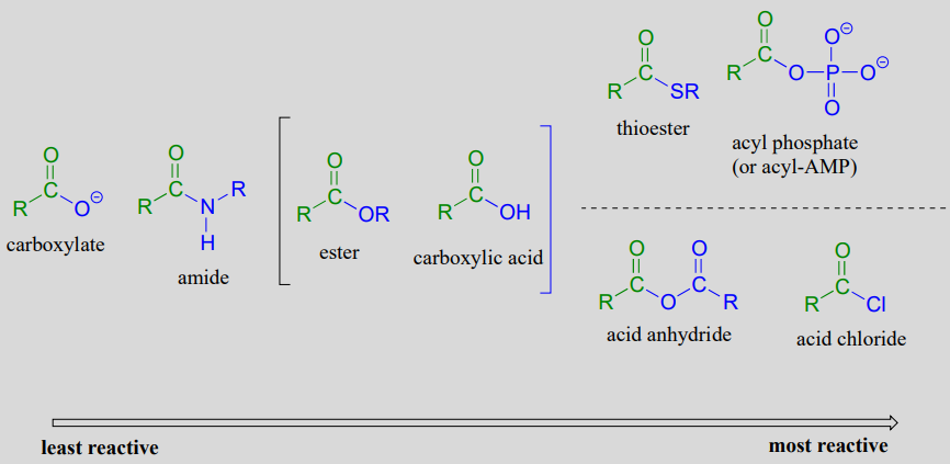 acyl reactivity.png