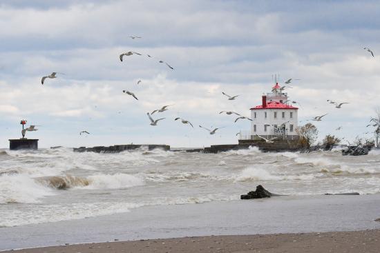 Image of a lighthouse on Lake Erie with waves crashing on the beach and many gulls flying around.