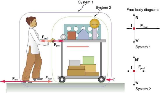 person pushing a cart with 2 systems defined: 1-includes person and cart 2-includes only cart Force are: foot against floor, floor against foot, hand against cart, cart against hand, friction against wheel. Free body diagrams for each: system 1: friction force opposed to the foot against the flor. system 2: friction force opposed to the hand against the cart.
