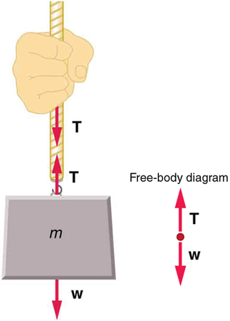 A hand holding a rope connected to a weight. The force of the weight equals the tension force the weight exerts on the rope, which equals the tension force the rope exerts on the hand.