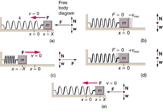 5 drawings of a mass attached to a spring with accompanying information about force and velocity, as described in the caption.