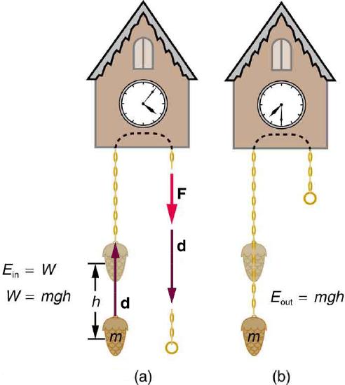 drawing of a cuckoo clock and the forces associated with the movement of its weight.