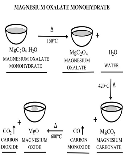 mag oxalate.jpg