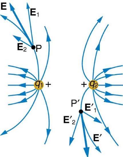 Electric Field Lines for two positive point charges. The lines from one point charge curve away from the other point charge.