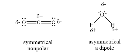 Overall Polarity.png
