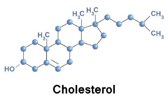 Figure 10. Structure of cholesterol