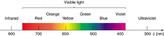 Visible spectrum of light, ranging from red at 750 nm to violet at 400 nm.