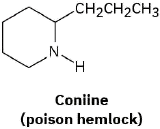 The structure of coniine (poison hemlock), in which N is in first position. C2 is bonded to a propyl group.