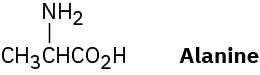 Alanine has a 3-carbon chain. C1 is a carboxylic acid group. C2 is bonded to an amino group.