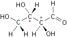 The wedge-dash structure of threose. C2 and C3 are labeled with asterisks.