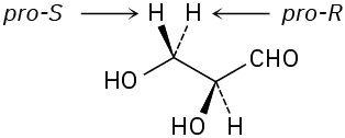 The wedge-dash structure of (S)-glyceraldehyde. The dash bonded hydrogen at C3 is labeled pro-R and wedge bonded hydrogen is labeled pro-S.