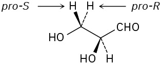 The wedge-dash structure of (S)-glyceraldehyde. The dash bonded hydrogen at C3 is labeled pro-R and wedge bonded hydrogen is labeled pro-S.