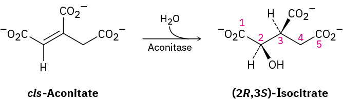 The figure shows a reaction where cis-aconitate reacts with water in the presence of aconitase to form (2 R, 3 S)-isocitrate.