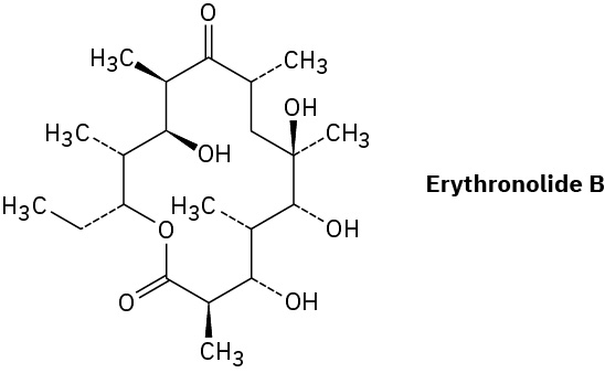 The wedge-dash structure of erythronolide B.