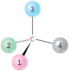 A carbon is single-bonded to substituents 3 (top) and 4 (right), wedge bonded to 1 (front), and dash bonded to 2 (left).