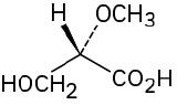 A carbon is single-bonded to wedge hyrdrogen atom (front), dash bonded to methoxy group (behind ), carboxylic acid (right), and hydroxymethyl group (left).