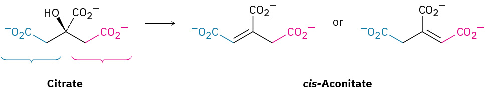 The figure shows a reaction where citrate converts to two forms of cis-aconitate structures.