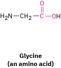 Condensed structural formula of glycine, an amino acid: H 2 N C H 2 C O O H. The carboxyl carbon and both oxygens are highlighted in red.