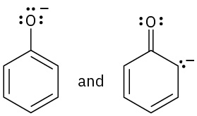 ساختار اول دارای یک حلقه بنزنی است که به یک آنیون اکسیژن متصل شده است. ساختار دوم دارای یک حلقه سیکلوهگزادین با اکسیژن پیوند دوگانه در C1 و بار منفی در C2 است.