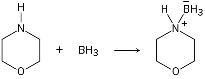 In a reaction, morpholine reacts with B H 3 to form a product with a positive charge and single bonded B H 3 negative at the nitrogen of the ring.